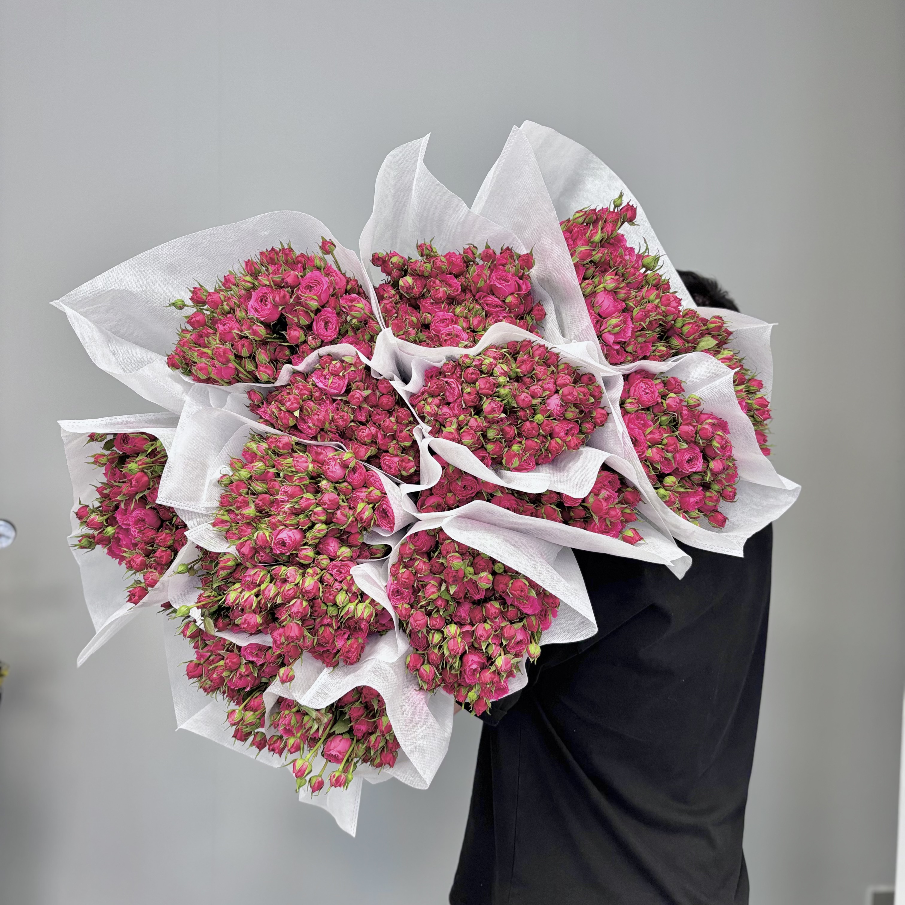 Роза кустовая Софи Бейби