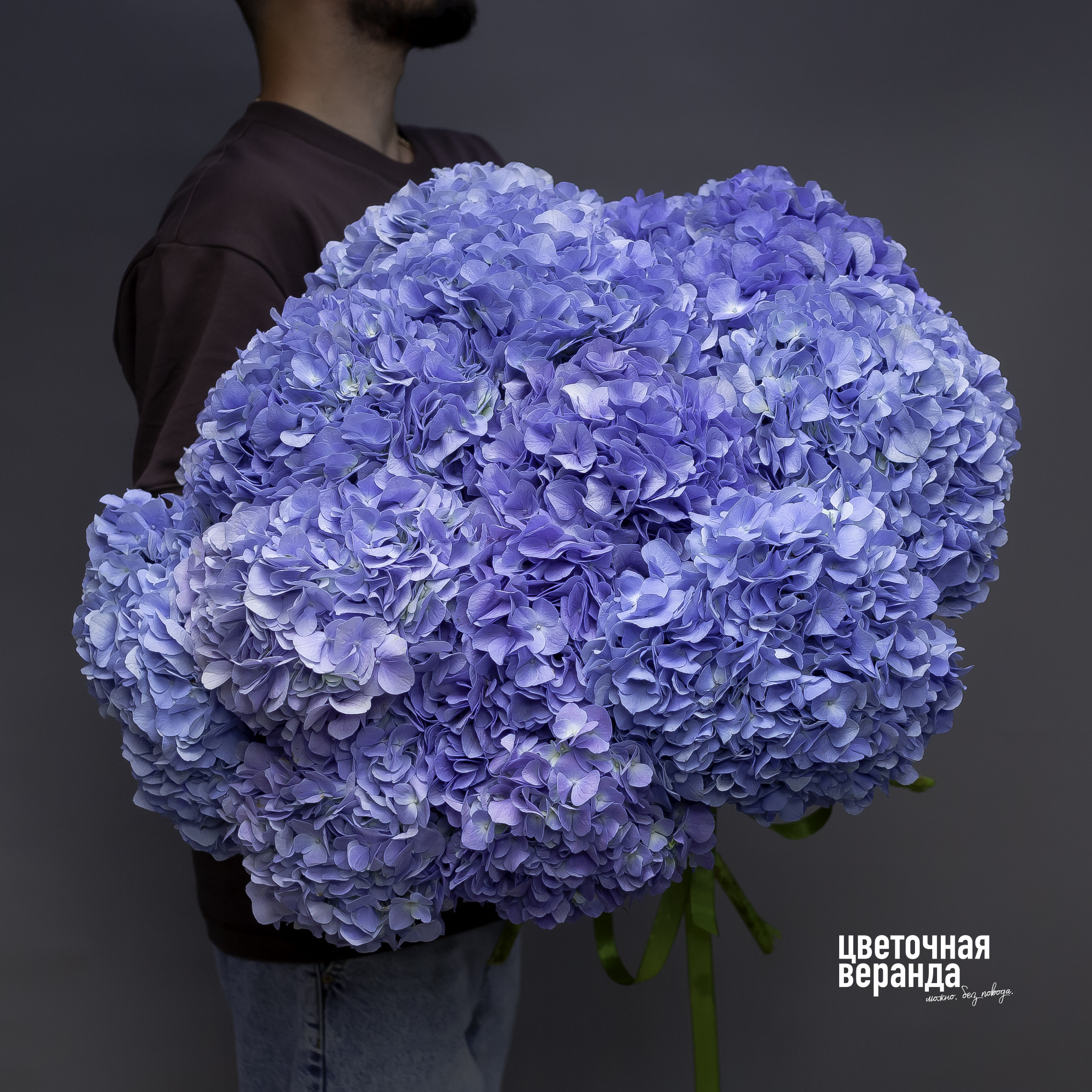 Гортензия Блю