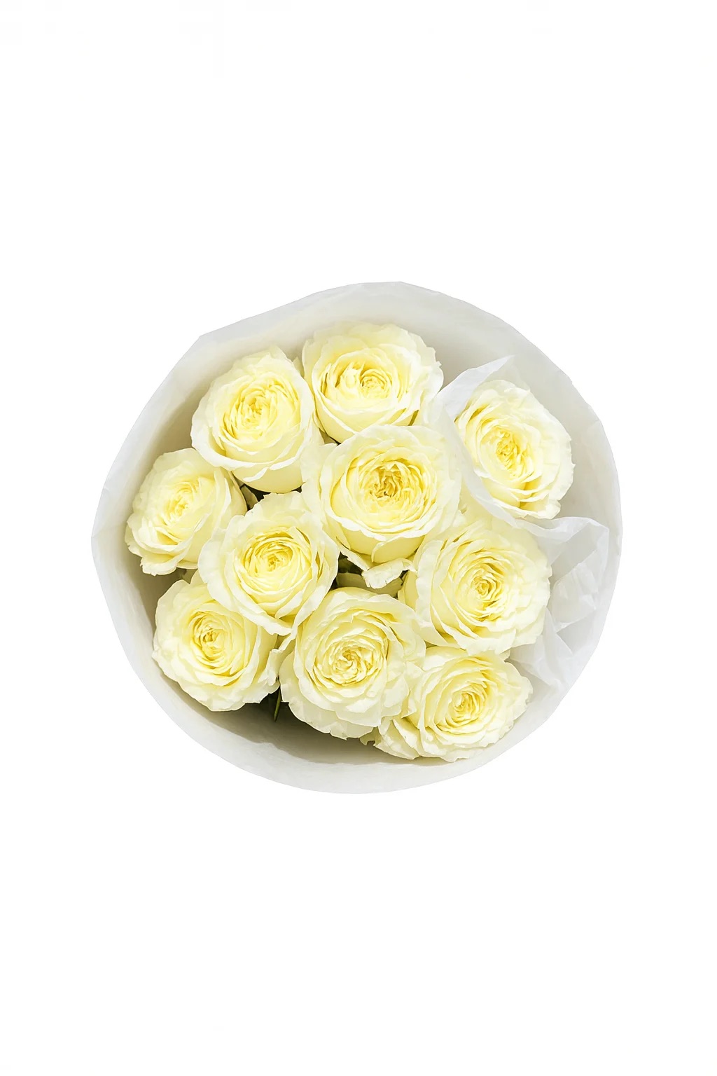 Куст роза Буш Роуз Нуаннуан А+