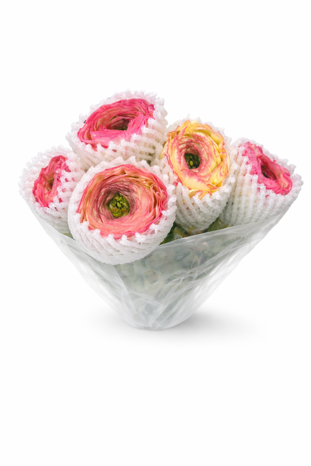 Ранункулюс Клуни Шампан