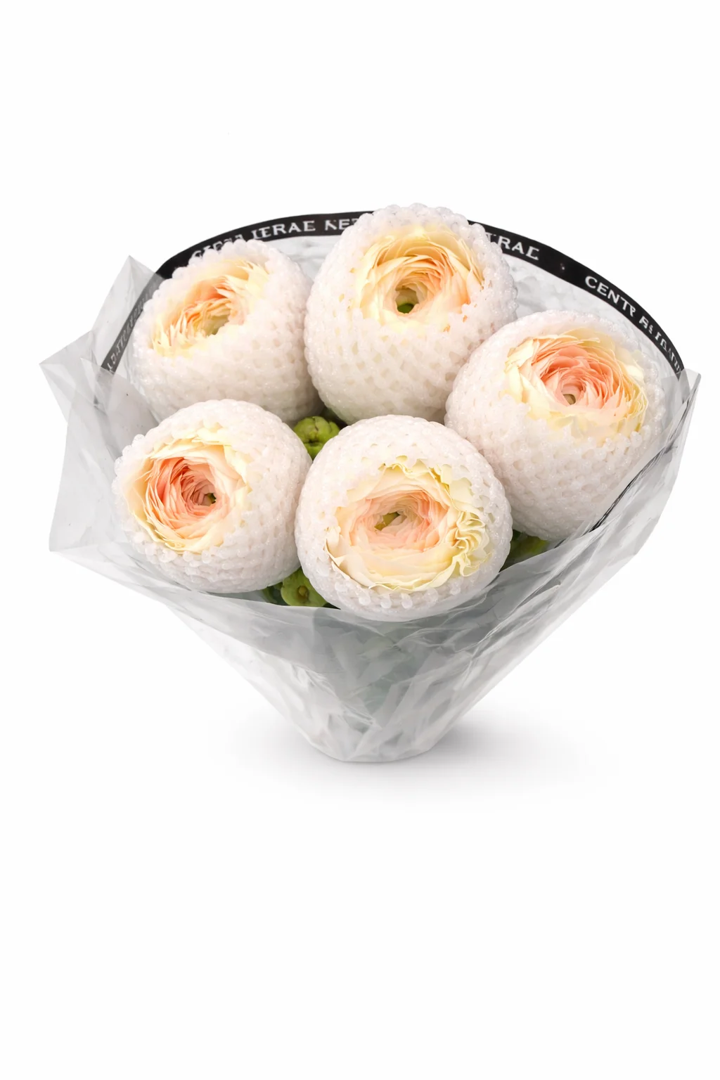 Ранункулюс Клуни Шампан